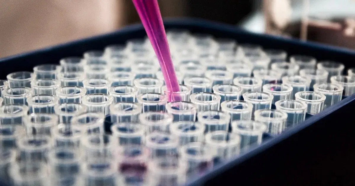 Micronutriments et santé : ce que la science dit vraiment sur la supplémentation quotidienne