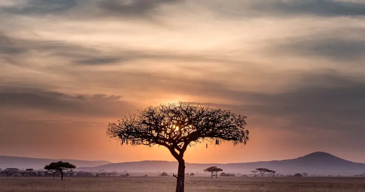 From Joburg's Highveld to Durban's Coast: One Device for Every South African Skin Type