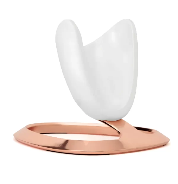 ageLOC LumiSpa iO Stand Rose Gold (Portugal)