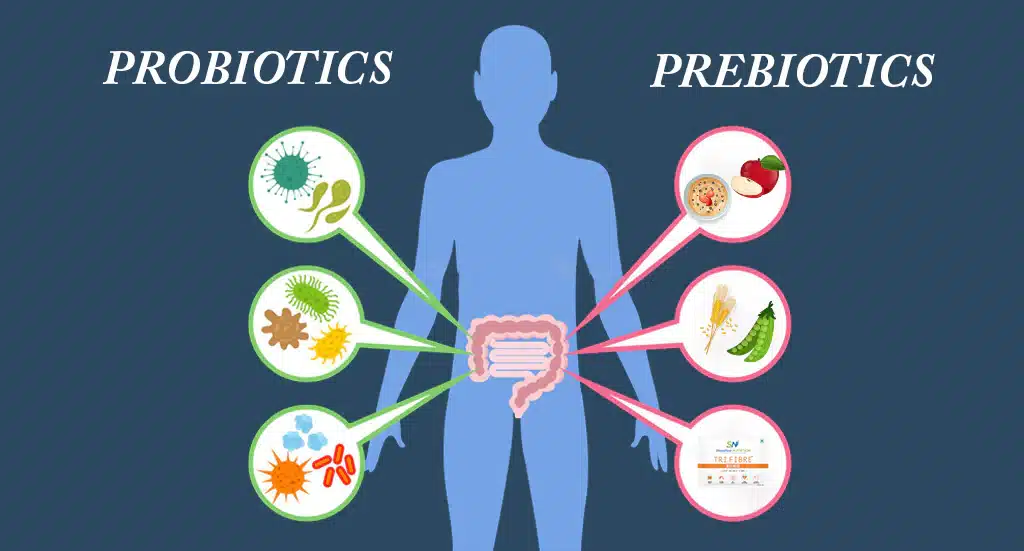 Prebiotics